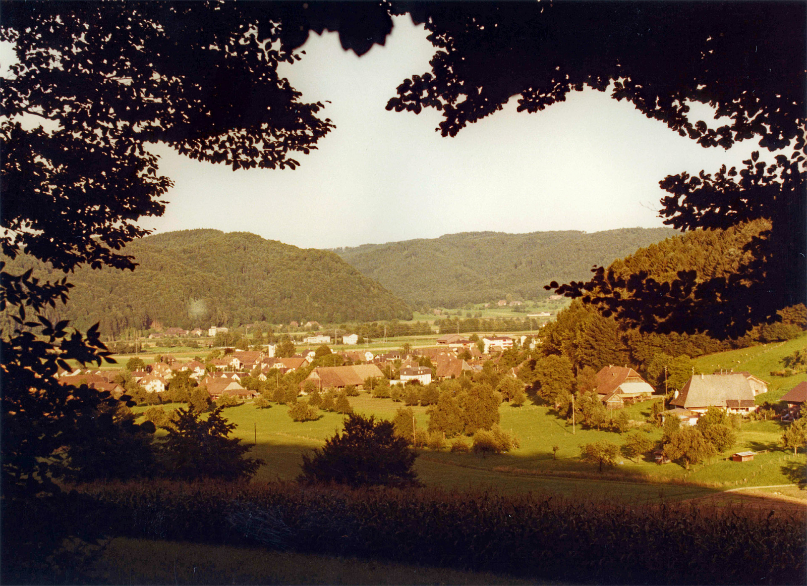 Langnau 1982