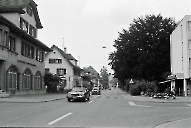 Mitteldorf 1982 