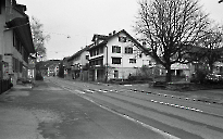 Mitteldorf 1983 