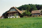 Hölzli 1991