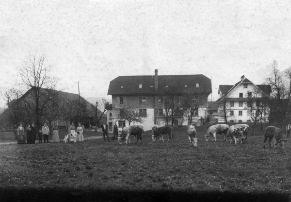 Mühlehof 1913 
